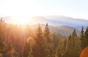 Read more about the article Is solar energy a nonrenewable source?